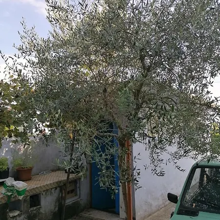 Casa Beatrice Appartement