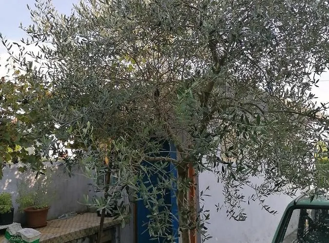 Casa Beatrice شقة